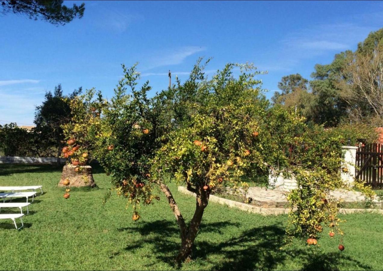 Yiouli * Acharavi (Corfu)